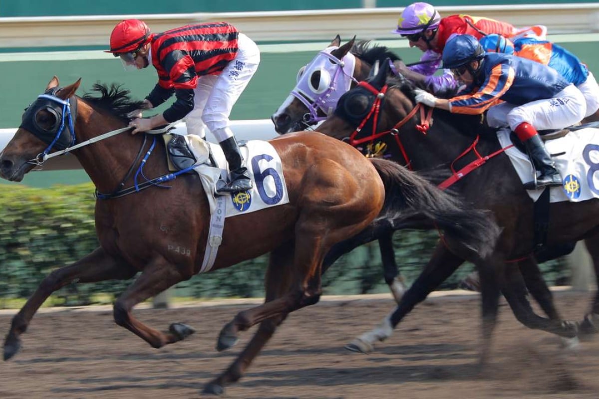 Vanilla cruises to another victory after winning by 10 lengths last start. Photos: Kenneth Chan