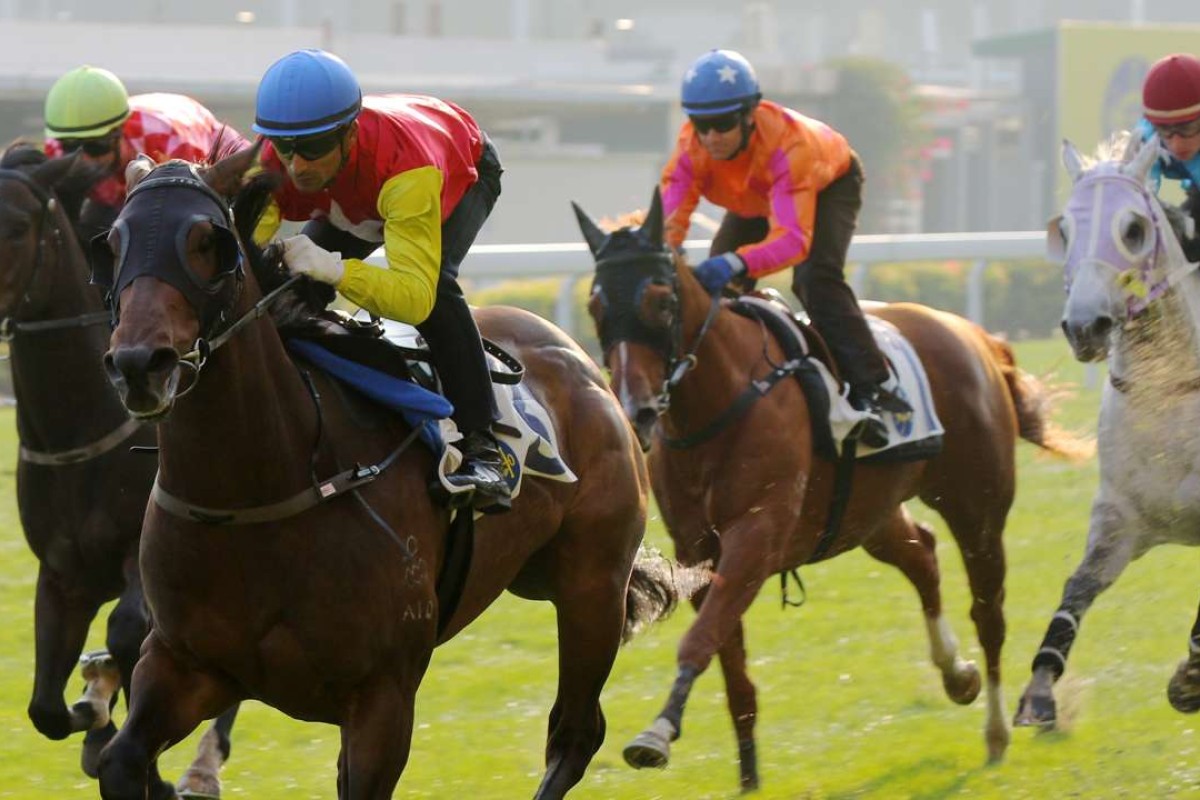 Grade One (second from left) cruises home in a Happy Valley trial for Karis Teetan. Photos: Kenneth Chan