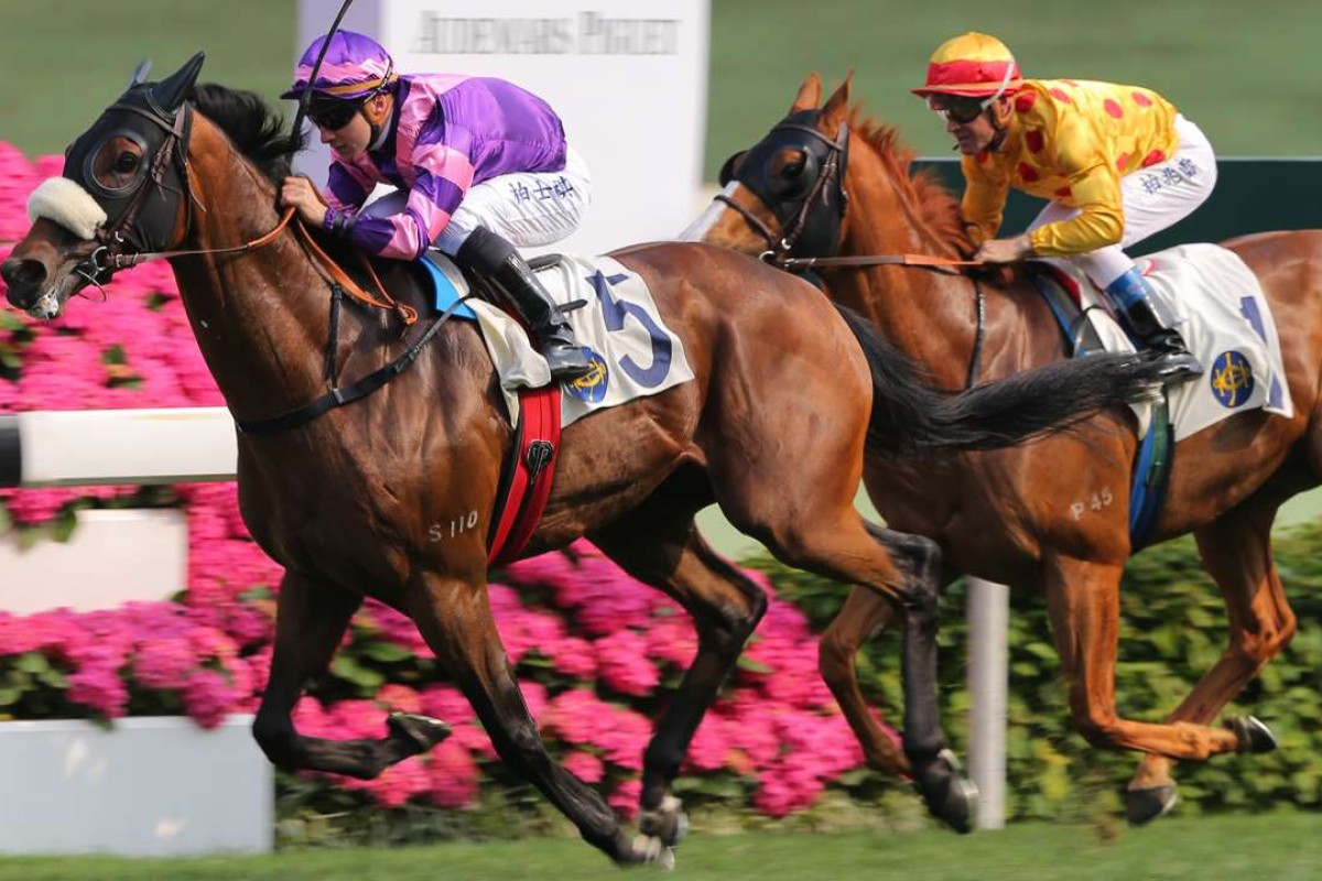 Dundonnell wins the Group Two Sprint Cup at Sha Tin in April 2015. Photo: Kenneth Chan