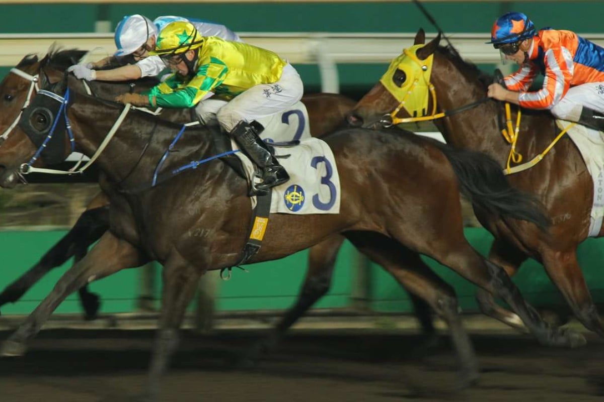 Sky King wins at Sha Tin earlier this month. Photos: Kenneth Chan
