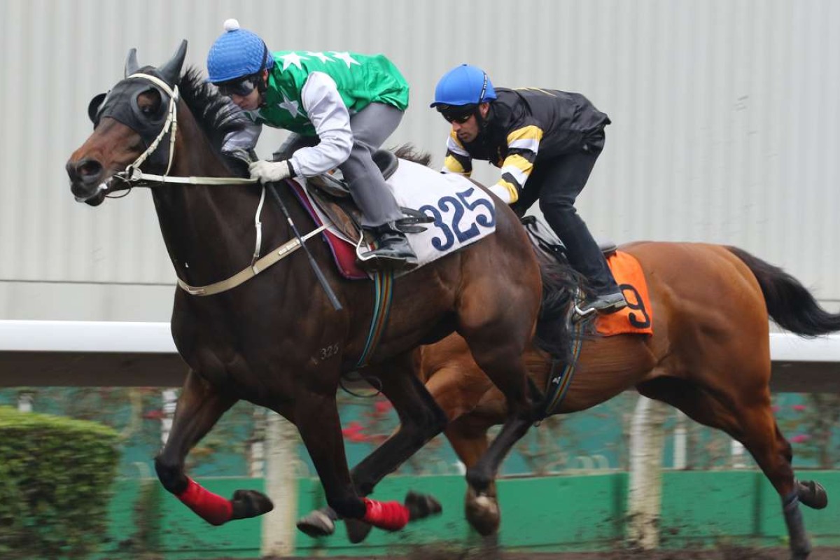 Pakistan Star works home nicely in a trial on Mach 10. Photos: Kenneth Chan.