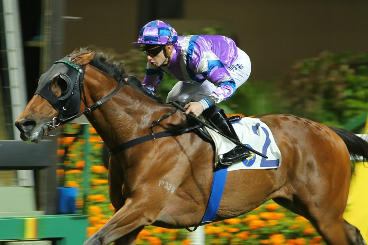 Vincent Cheminaud guides Rocket Let Win to victory in January 2016. Photos: Kenneth Chan