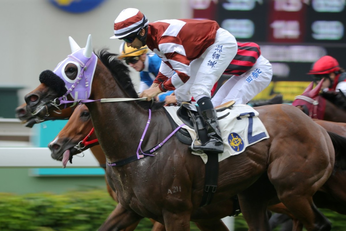 Joao Moreira guides the talented Sight Leader to his second straight win. Photos: Kenneth Chan