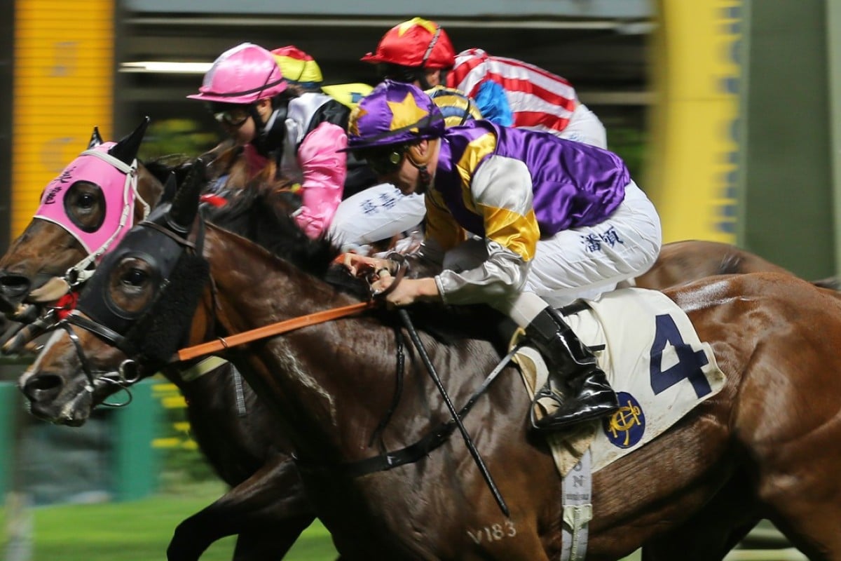 Litterateur (4) storms over the top of his rivals to win at Happy Valley last start. Photos: Kenneth Chan