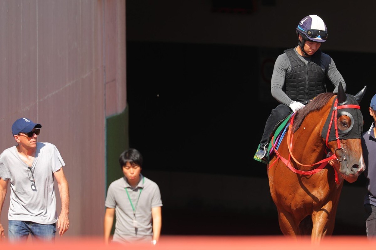 John Size and Contentment after trackwork in Japan. Photos: Kenneth Chan