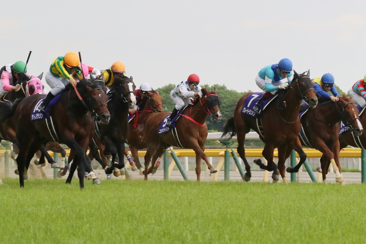 The field in the 2017 Yasuda Kinen heads for home. Photos: Kenneth Chan