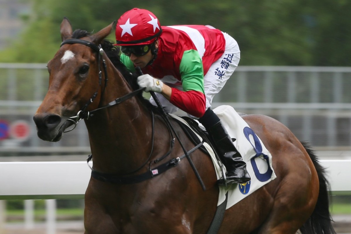 Joao Moreira guides Jumbo Luck to victory at Sha Tin. Photos: Kenneth Chan