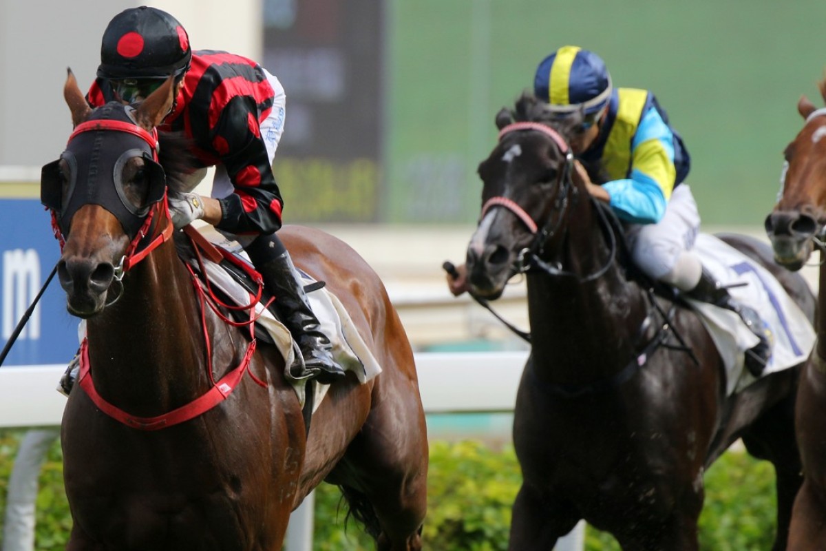 Joao Moreira guides Thewizardofoz to victory in the Group Three Premier Cup at Sha Tin on Sunday. Photos: Kenneth Chan