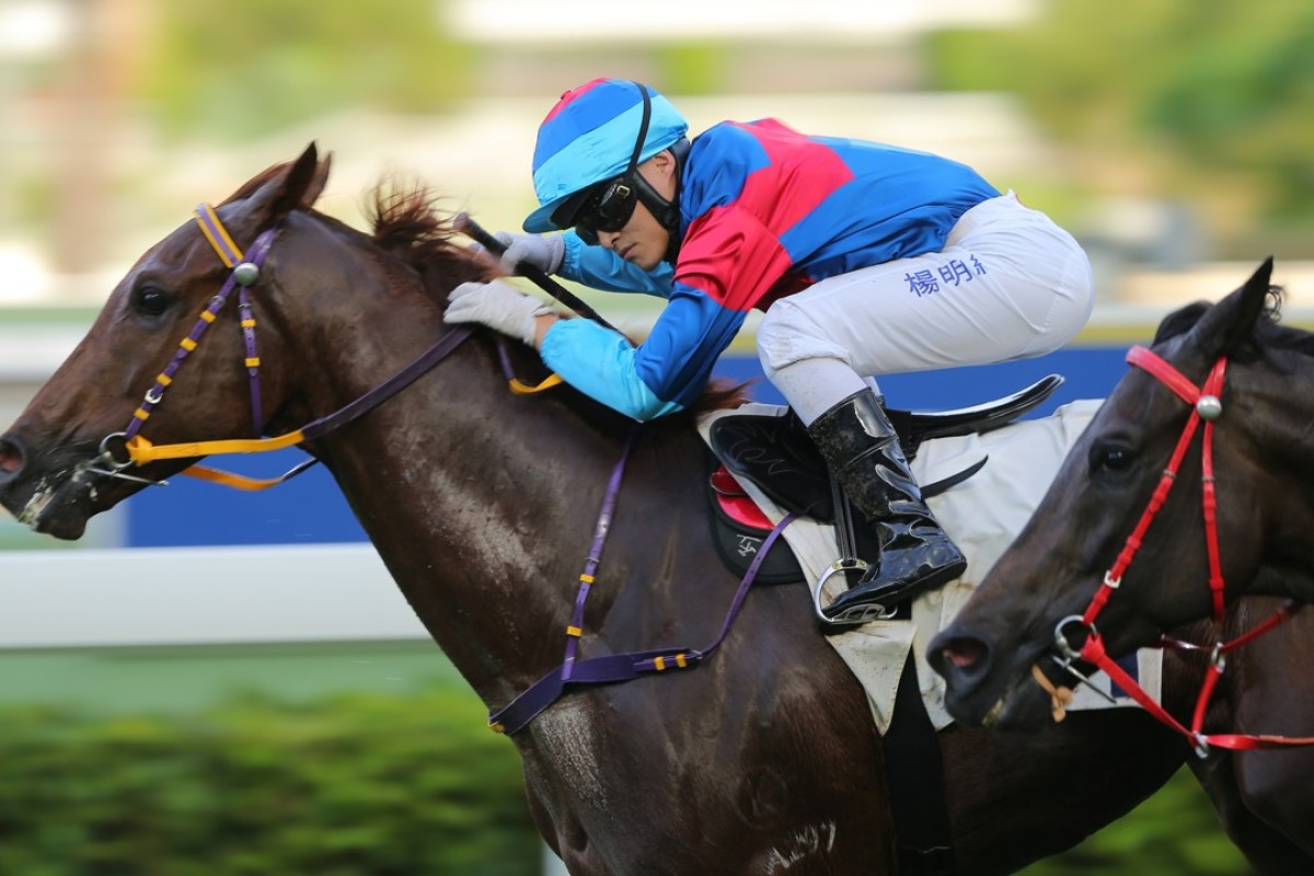 Keith Yeung guides home surprise winner Coby Boy in his Hong Kong debut. Photos: Kenneth Chan