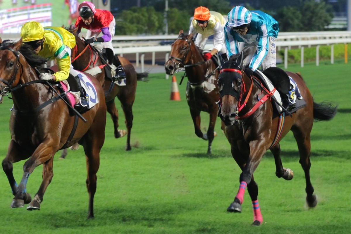 Fox Sunter (left) cruises past Household King in a trial at the preseason carnival. Photos: Kenneth Chan