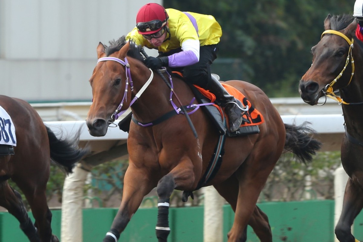 Exceptional Desire trials at Sha Tin in January. Photos: Kenneth Chan.