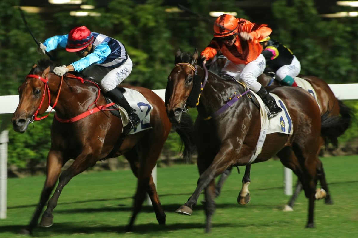 Derek Leung and Phantom Falcon (left) get edged out by Zac Purton and Smart Boy last start. Photos: Kenneth Chan