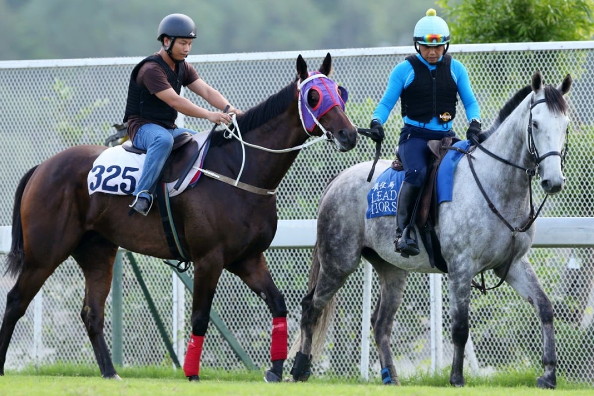 Trackwork riders try to get Pakistan Star running. Photos: Kenneth Chan