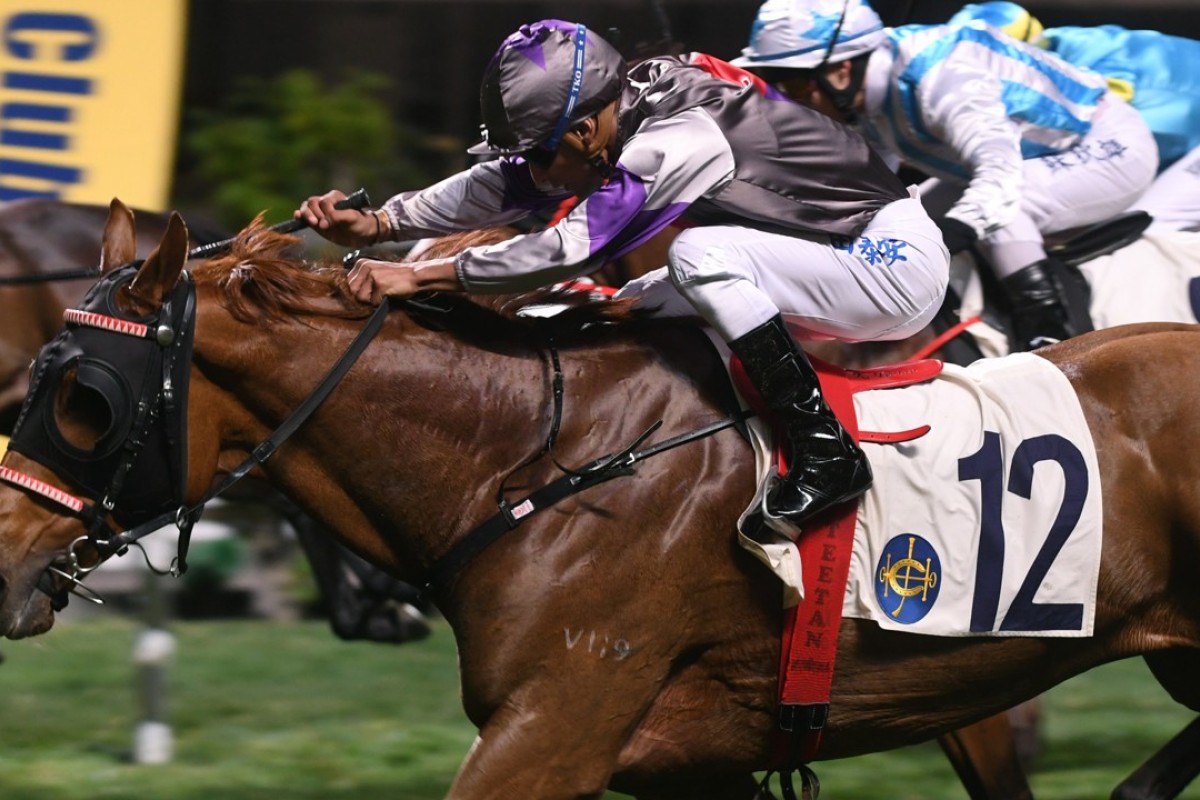 Karis Teetan guides Megatron to victory in February. Photos: Kenneth Chan