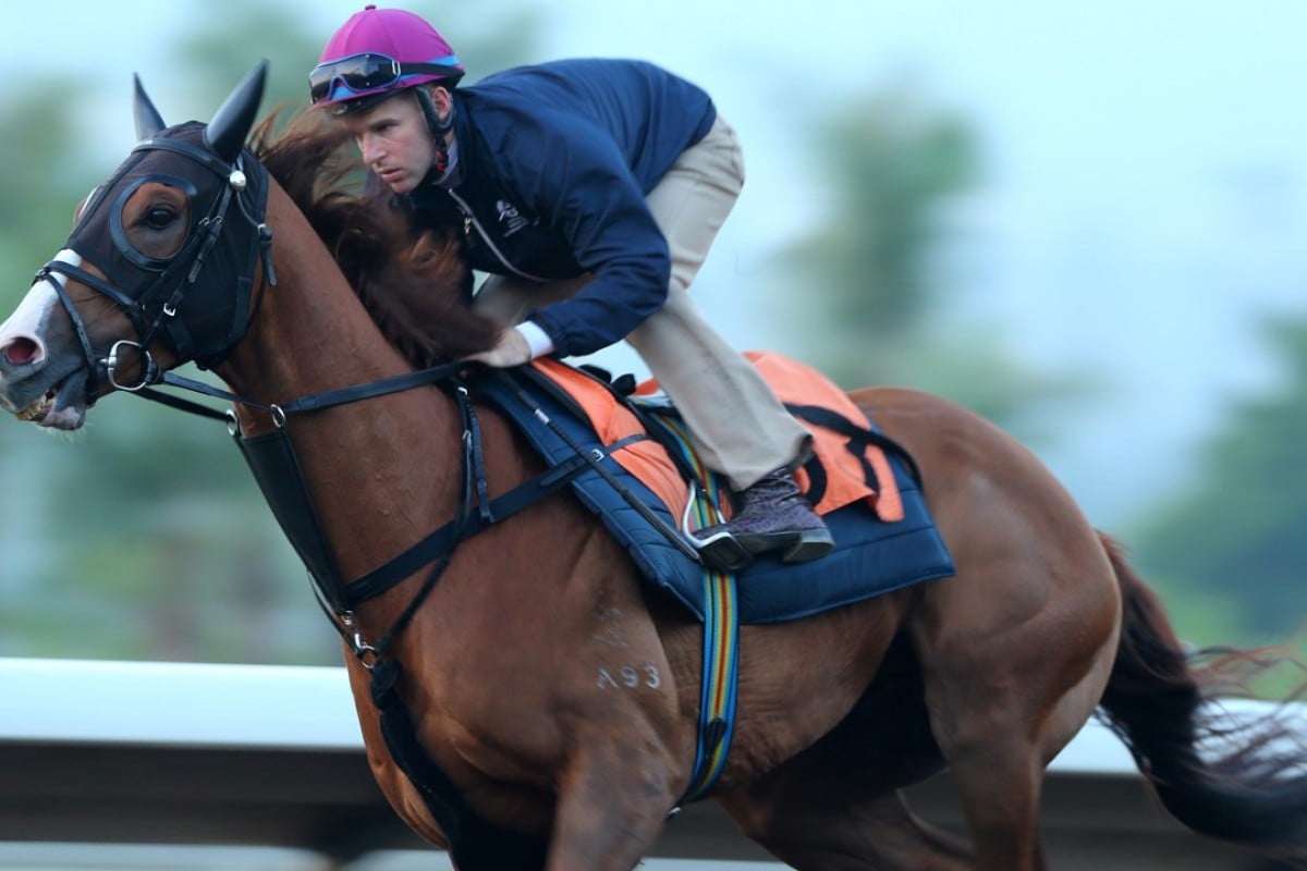 Tommy Berry partners Eagle Way in a gallop at Sha Tin on Thursday morning. Photos: Kenneth Chan