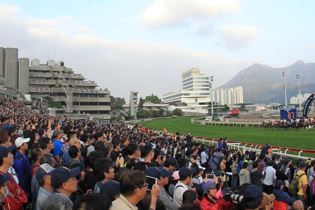 The Longines Hong Kong International Races are only four weeks away. Photo: Kenneth Chan