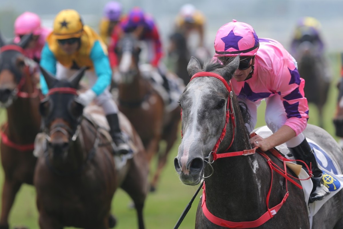 Hot King Prawn wins on November 5. Photos: Kenneth Chan.