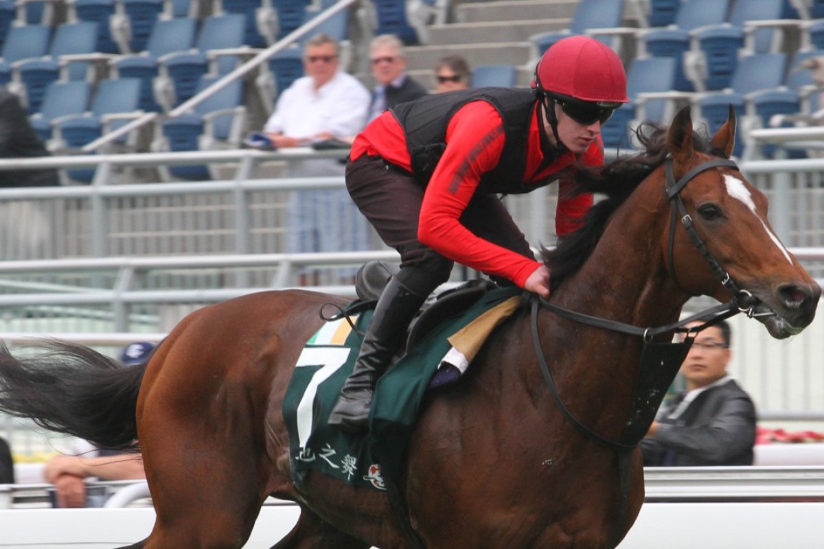 Highland Reel gallops well ahead of the Hong Kong Vase. Photos: Kenneth Chan