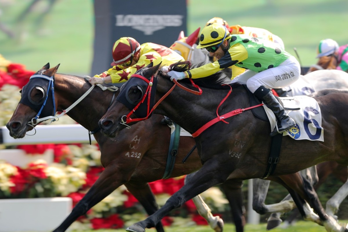 Southern Legend (left) knocks off $1.20 favourite Nothingilikemore. Photos: Kenneth Chan