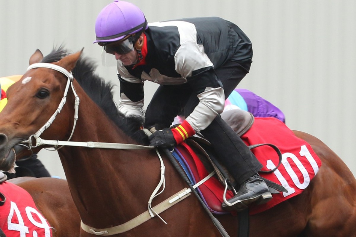 Exultant wins his trial under Zac Purton on December 12. Photos: Kenneth Chan.