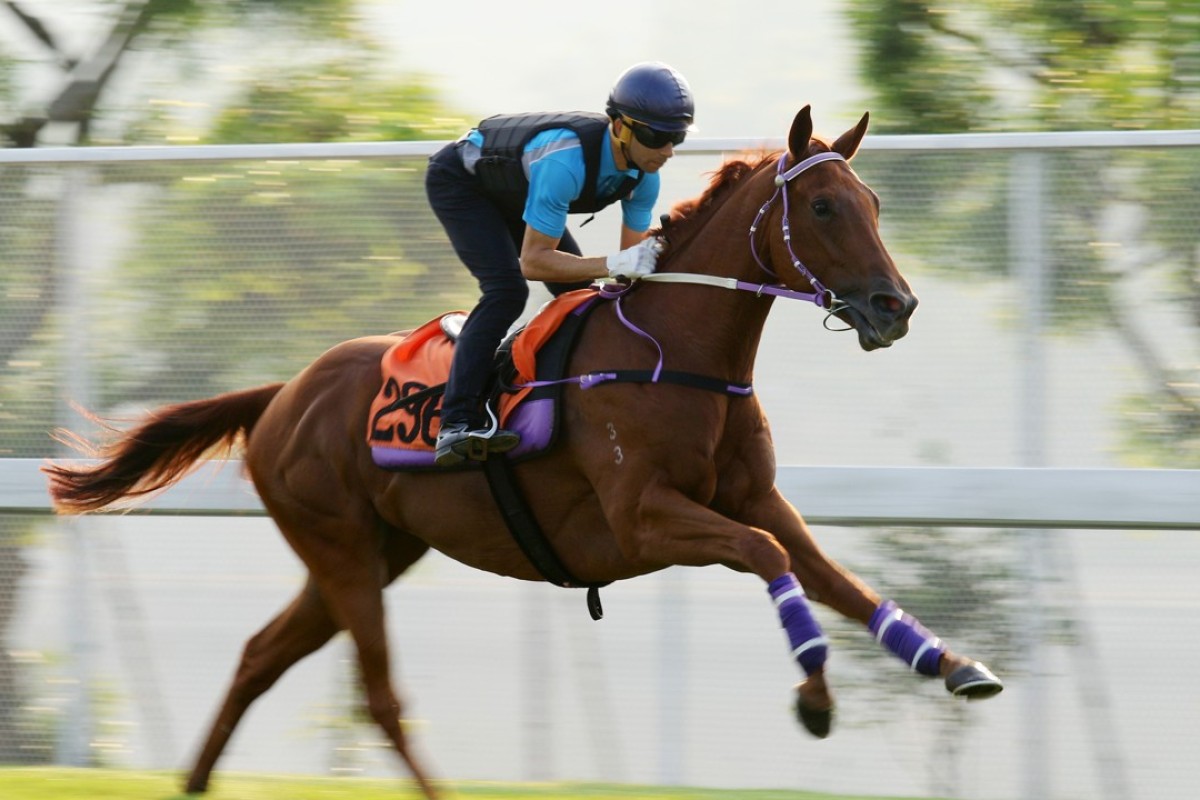 Joao Moreira rides Master Albert in a track gallop in September. Photos: Kenneth Chan.