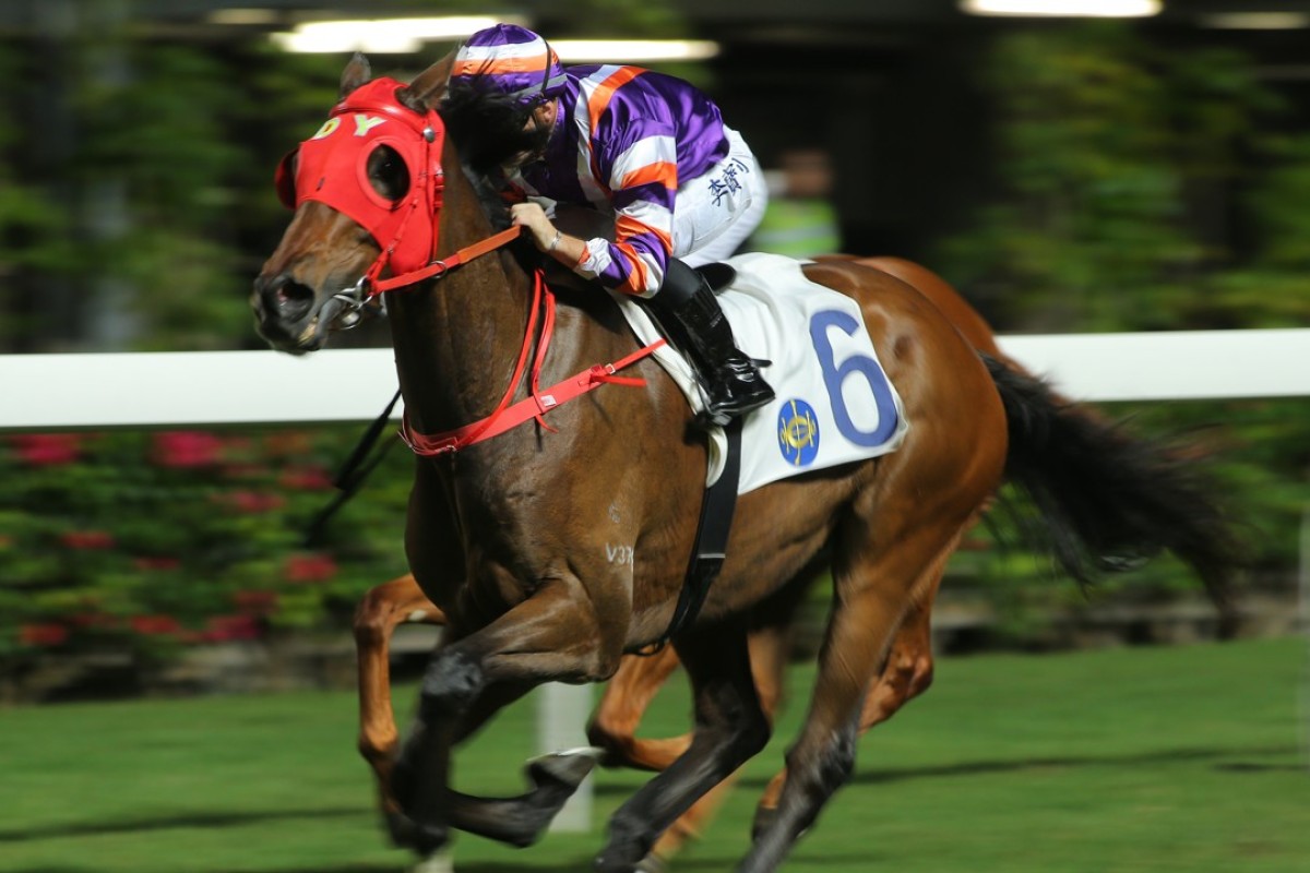 Crown Avenue wins on December 13 for Umberto Rispoli. Photos: Kenneth Chan.