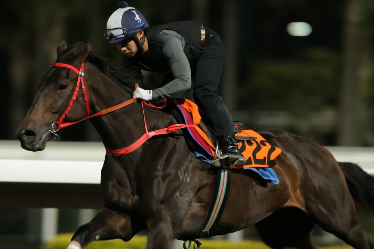 Remarkable stretches out at trackwork. Photo: Kenneth Chan