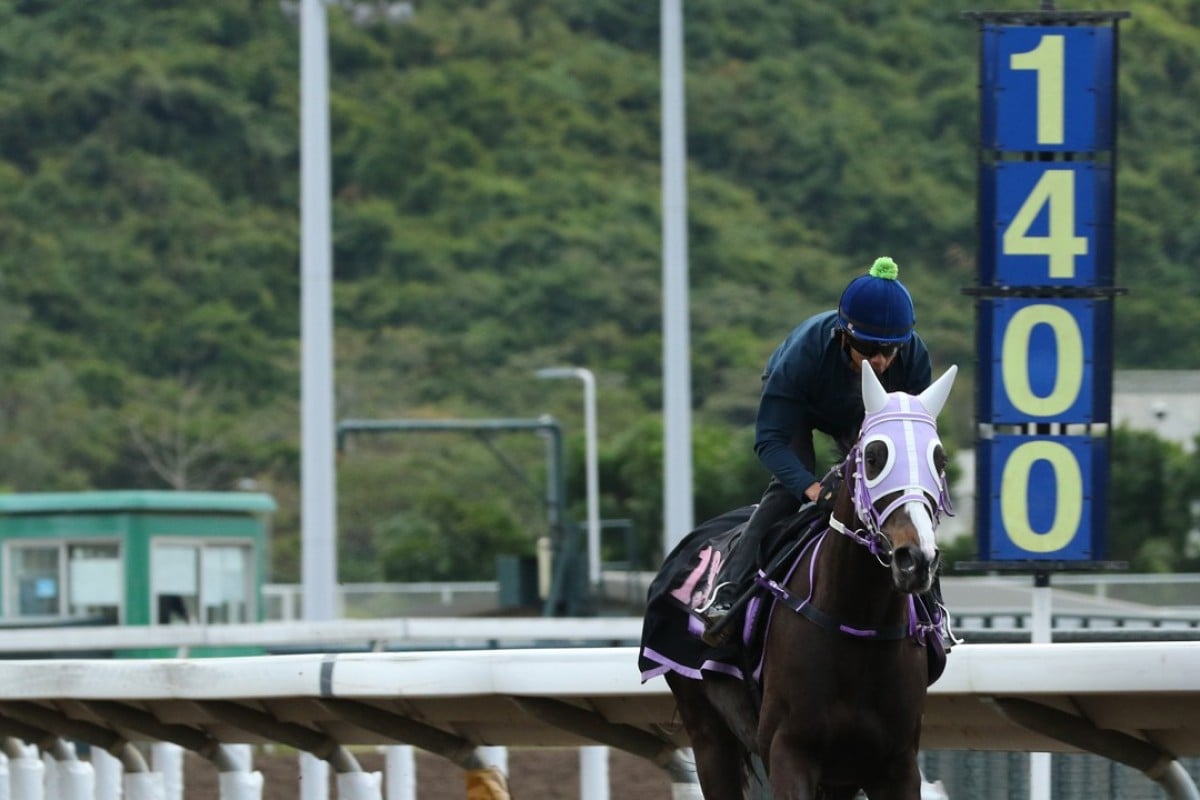 Derek Leung gallops Classic Emperor. Photos: Kenneth Chan