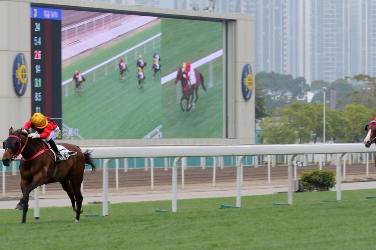 Dinozzo streets his rivals in the Group Three Centenary Vase. Photos: Kenneth Chan