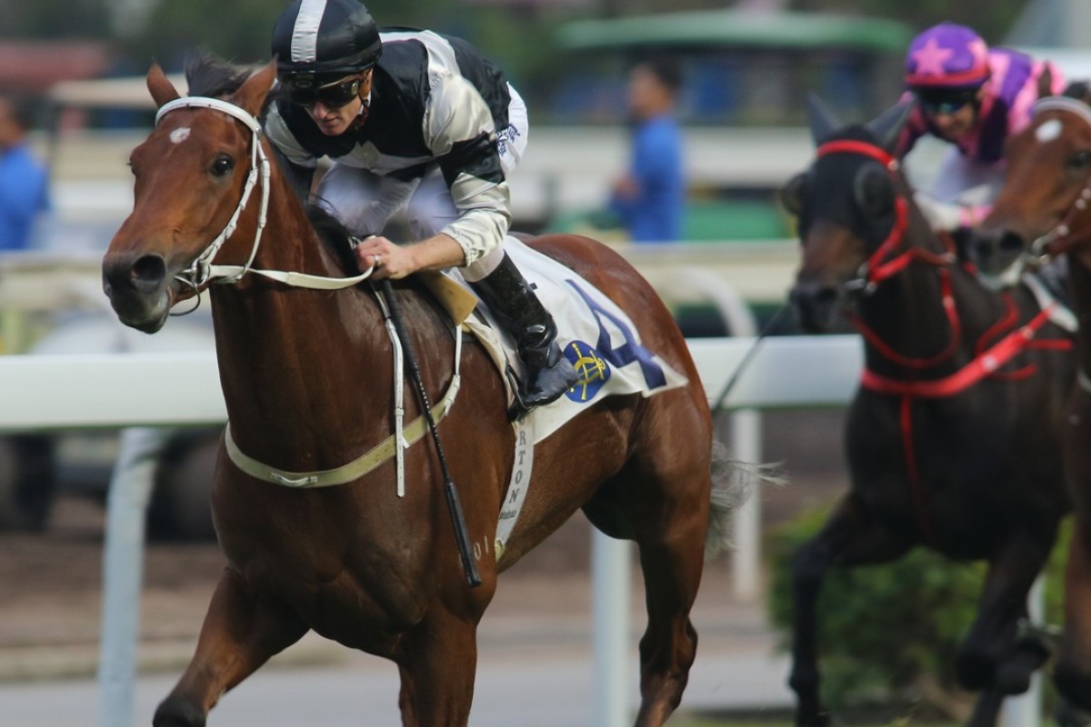 Exultant wins in Class Two on December 23. Photos: Kenneth Chan.