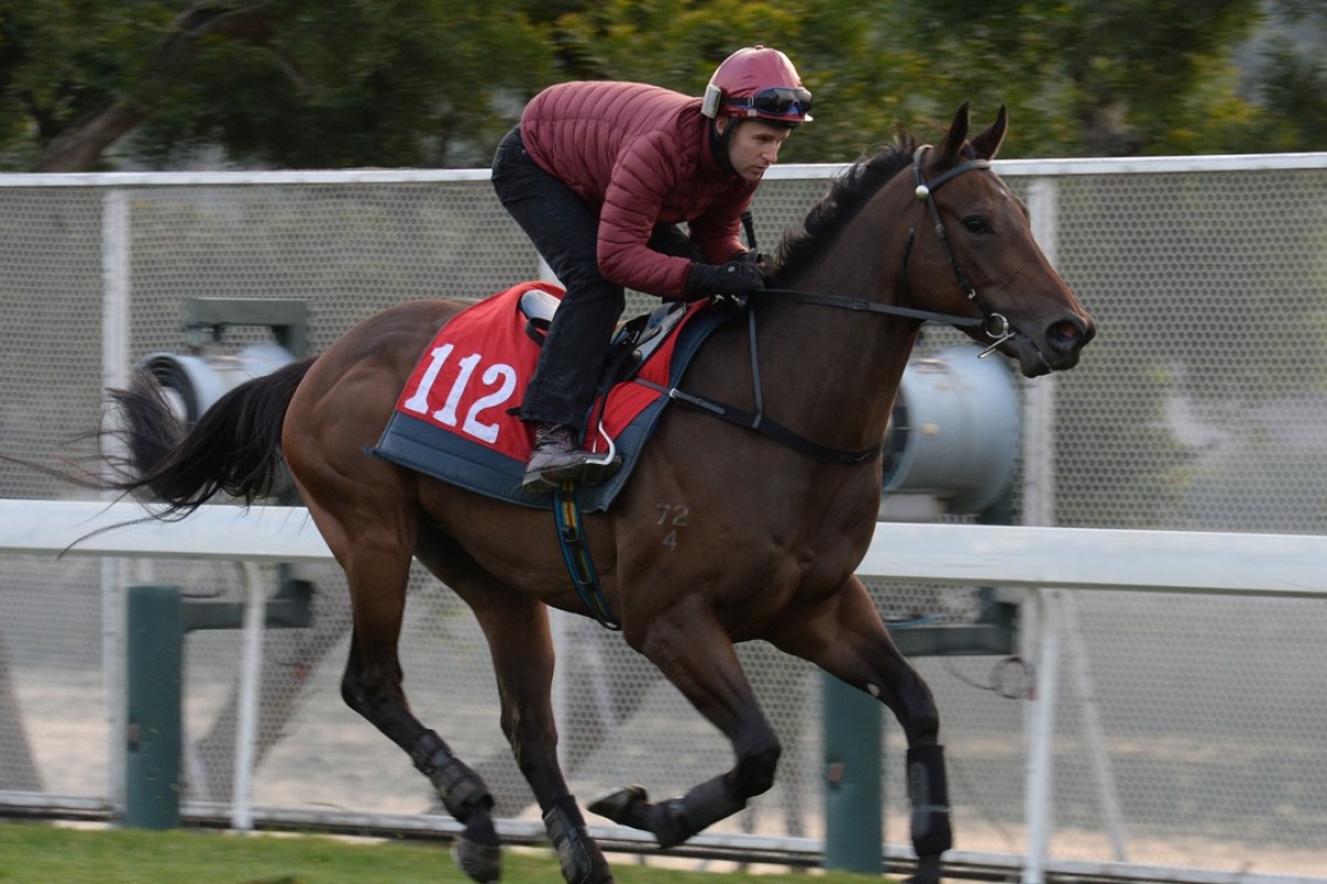 Easy Go Easy Win gallops for Tommy Berry at Sha Tin on February 8. Photos: Kenneth Chan.