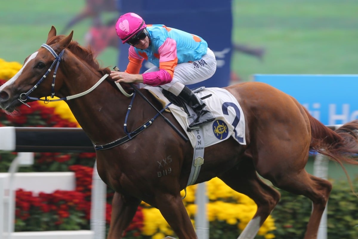 Zac Purton looks over his shoulder as Handsome Bo Bo cruises to victory on Sunday. Photo: Kenneth Chan