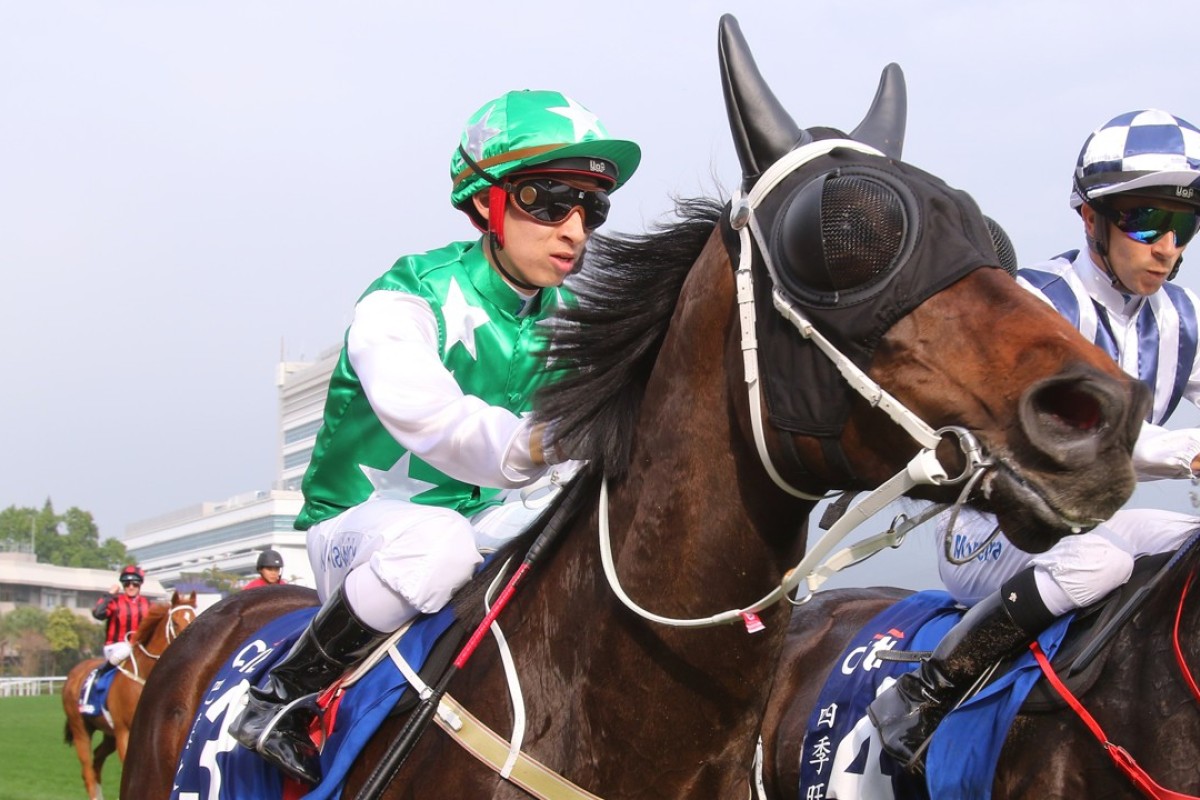 Pakistan Star returns to scale after racing in the Group One Citi Hong Kong Gold Cup on Sunday. Photos: Kenneth Chan