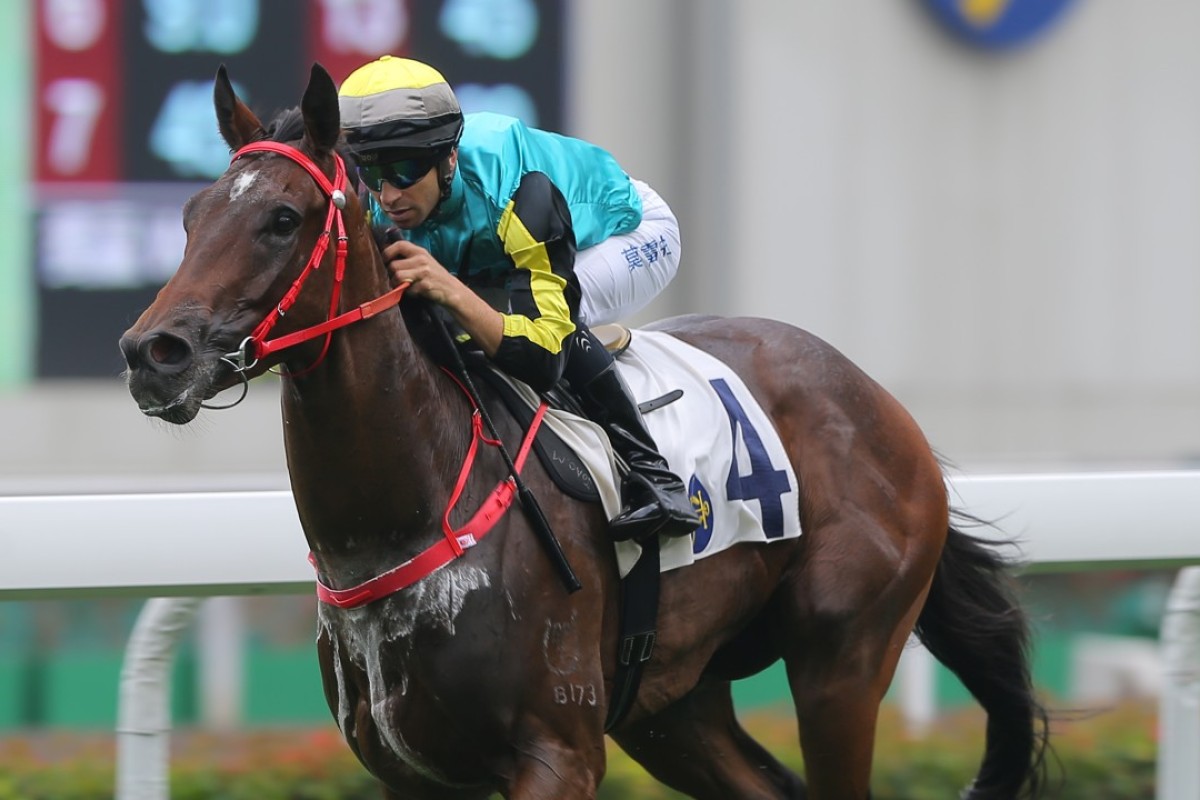 Raging Storm cruises to an easy win on Saturday. Photos: Kenneth Chan