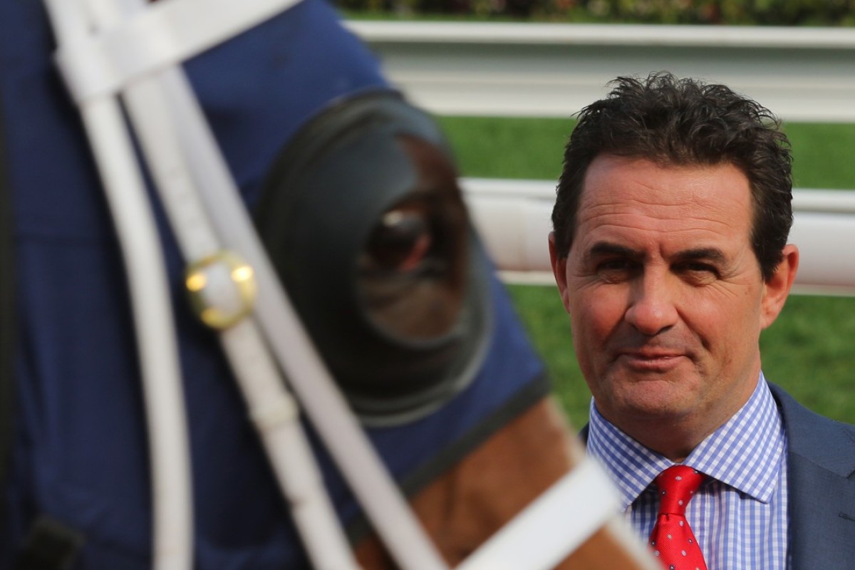 Michael Freedman after Elite Boy’s big win at Sha Tin on Sunday. Photos: Kenneth Chan.