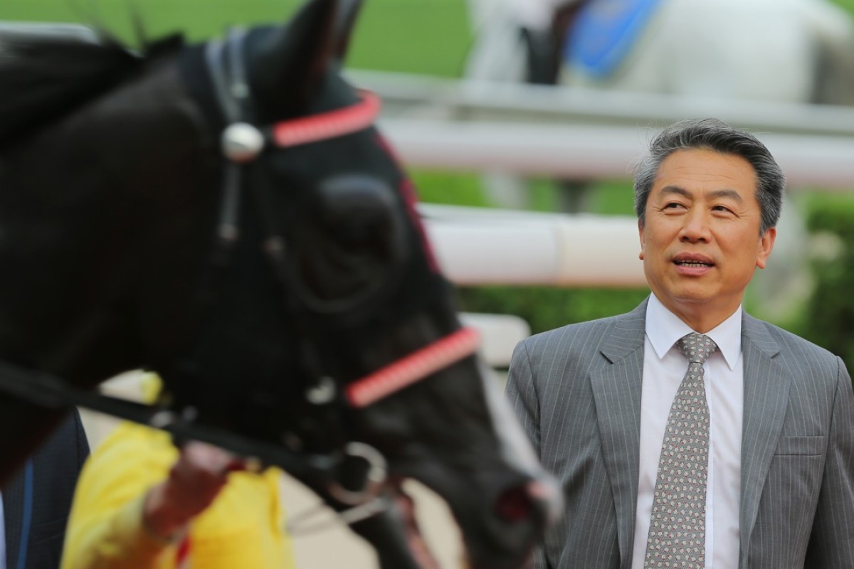 Ricky Yiu looks over Jolly Banner. Photos: Kenneth Chan