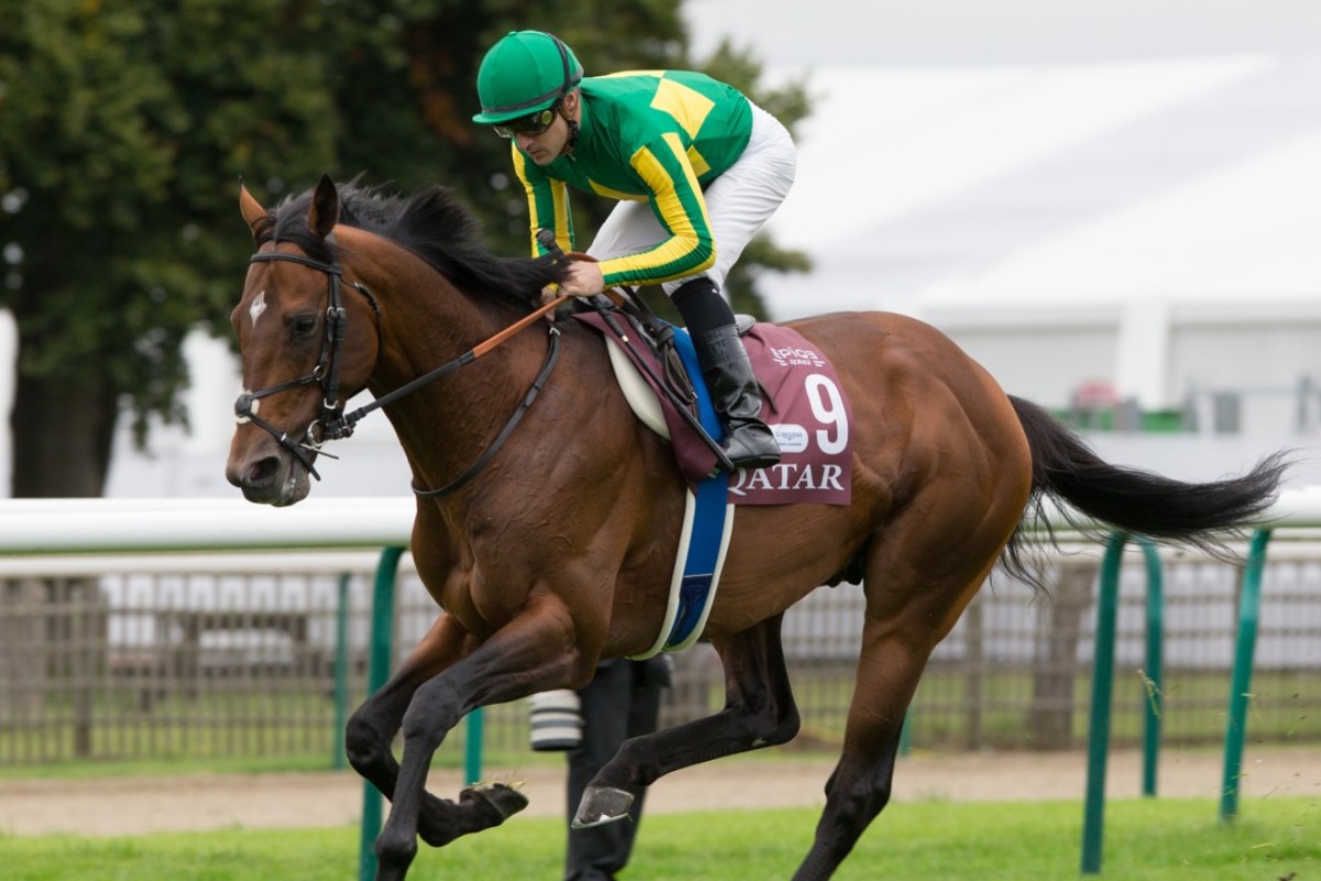 Satono Diamond and jockey Christophe Lemaire. Photo: Handout