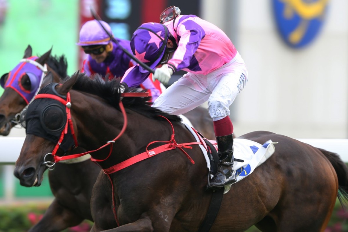 Olivier Doleuze lifts Prawn Baba to victory at Sha Tin on Sunday. Photos: Kenneth Chan