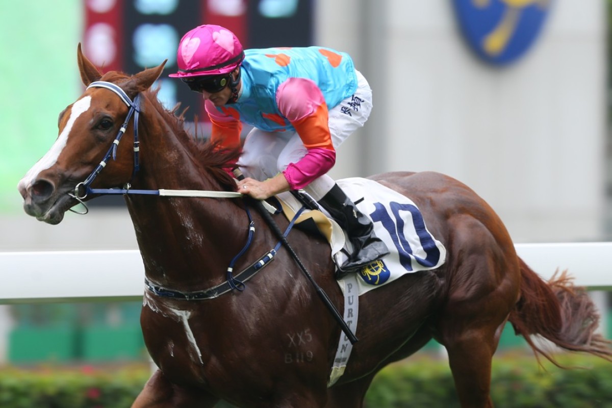 Zac Purton guides Handsome Bo Bo to victory at Sha Tin on Saturday. Photo: Kenneth Chan