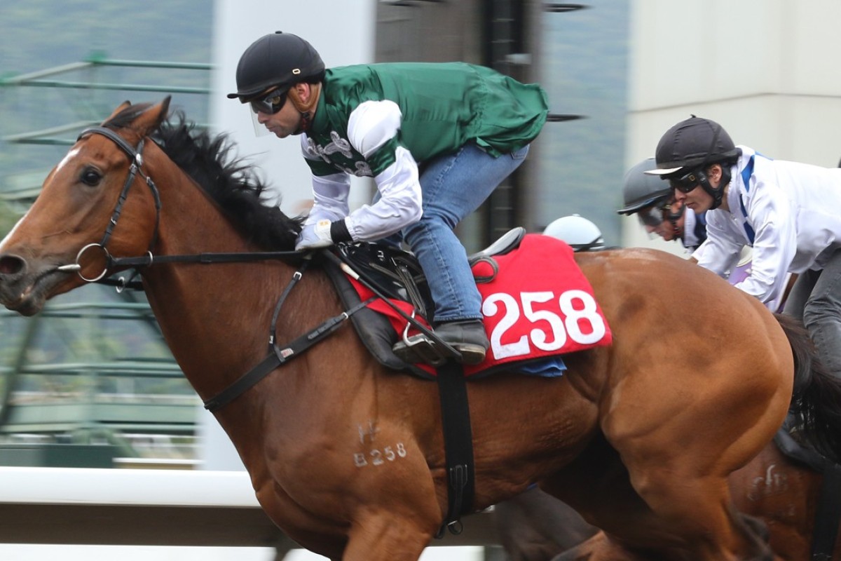 Emerald Spur trials at Sha Tin in March. Photo: Kenneth Chan