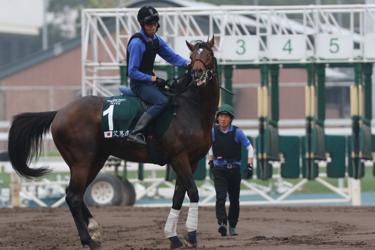 “Naughty Alan” Al Ain gets his crazy on at Sha Tin three days out from the Group One Audemars Piguet QE II Cup. Photos: Kenneth Chan