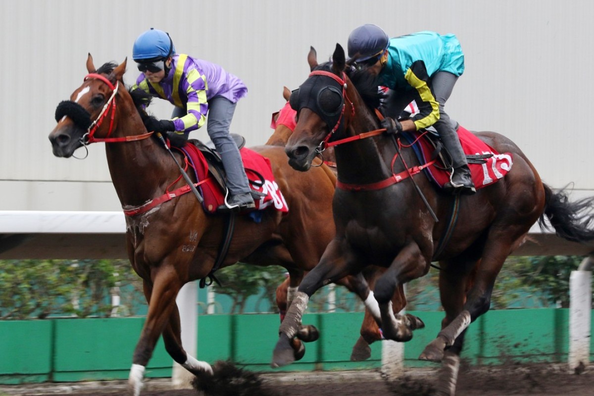 Hezthewonforus (Keith Yeung Ming-lun) and Raging Storm (Joao Moreira) trial side-by-side at Sha Tin on April 15. Photos: Kenneth Chan.
