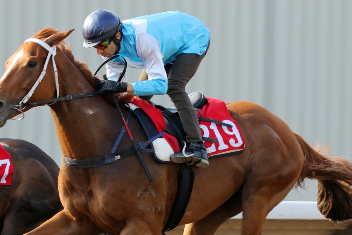 Famous Warrior trials at Sha Tin. Photos: Kenneth Chan