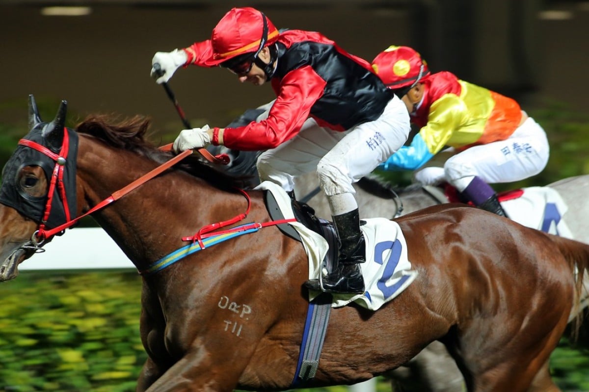 Brett Prebble drives Country Melody to victory at Happy Valley. Photos: Kenneth Chan