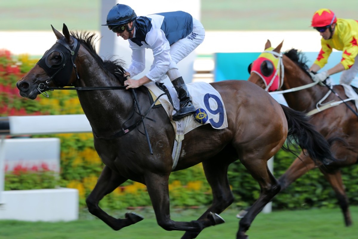 Zac Purton wins on Sacred Ibis. Photos: Kenneth Chan