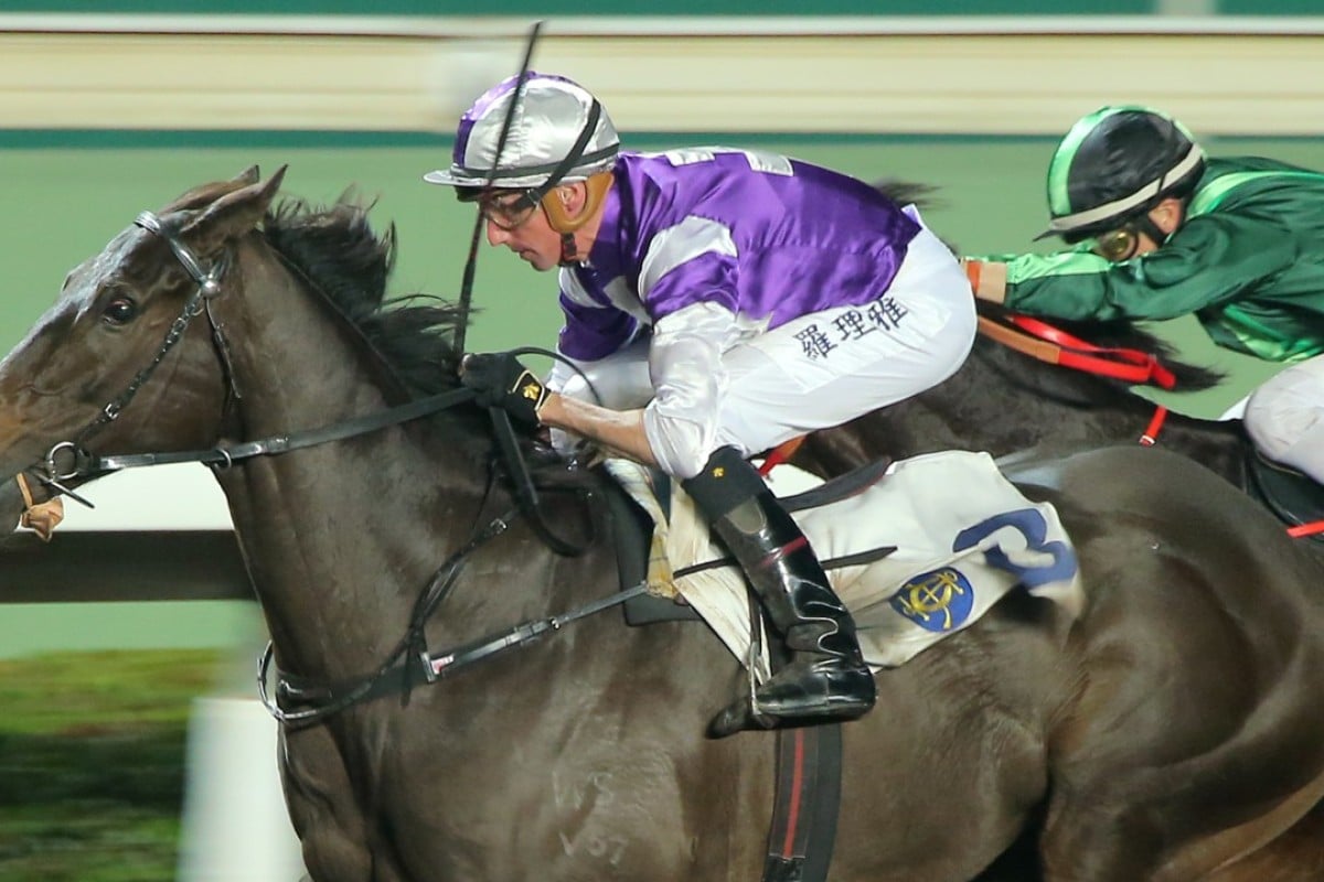 Nash Rawiller guides Almababy to victory in January. Photos: Kenneth Chan