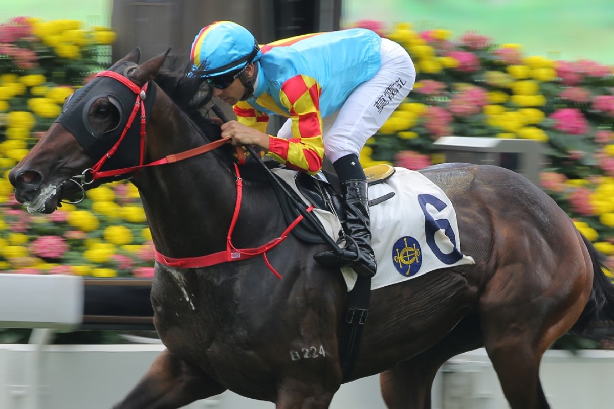 Joao Moreira guides Mission Tycoon to victory. Photos: Kenneth Chan