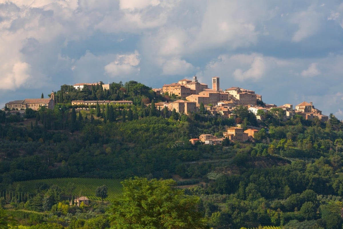 Making great vintages from montepulciano, grape known for early ...