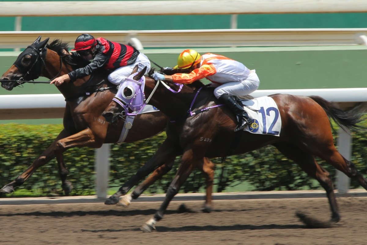 Sky Treasure (Zac Purton) holds off Snowhooves (Joao Moreira) in a dirt race at Sha Tin on June 16. Photos: Kenneth Chan.