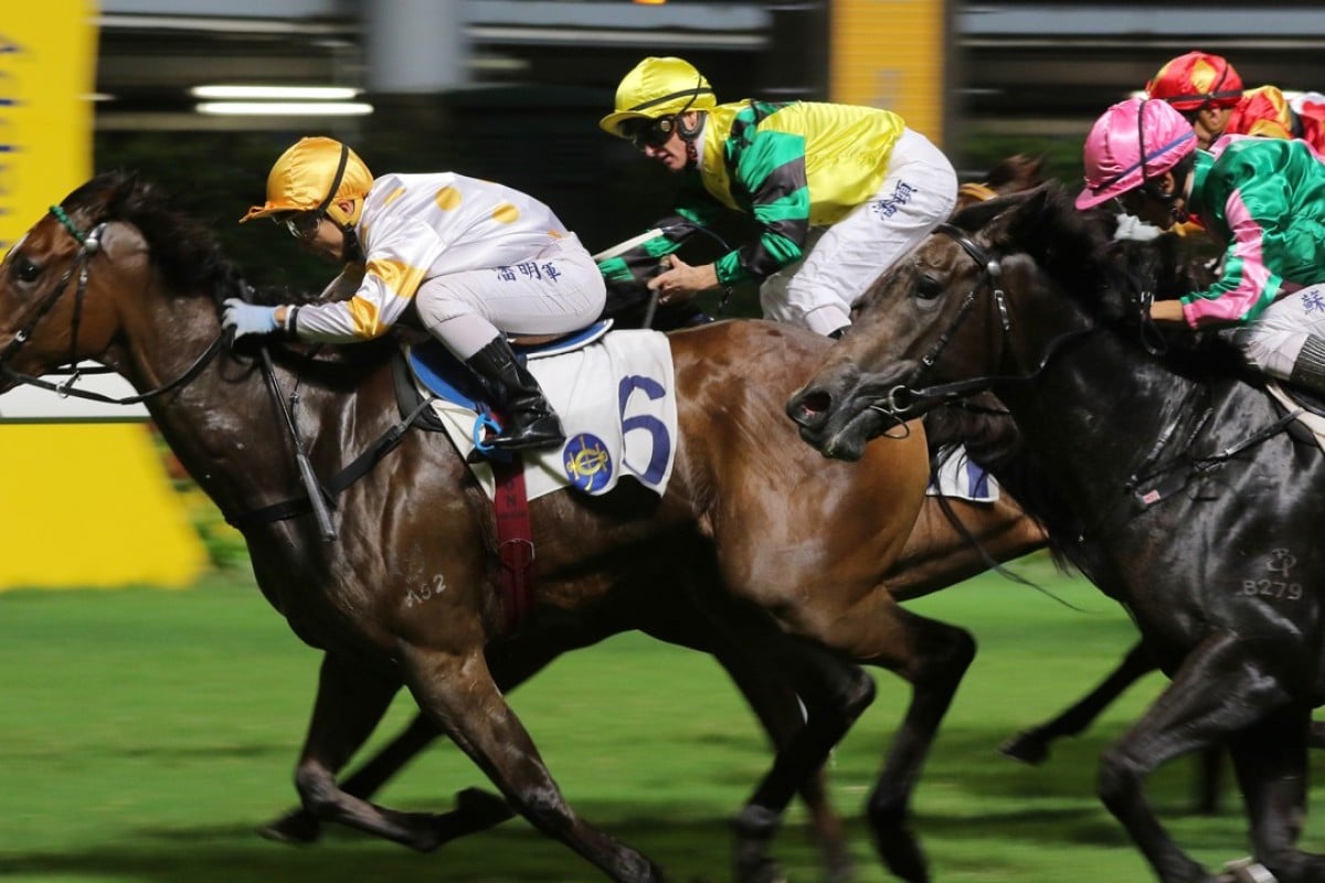 Bundle Of Energy (right) finishes third to Good Companion on Wednesday night. Photo: Kenneth Chan